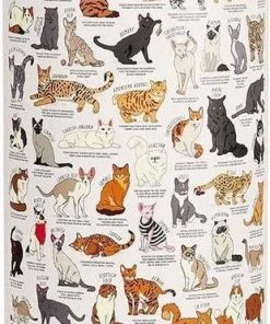 Ridley's Games Room Ridley's Games Legpuzzel Cat Lovers 70 X 55 Cm 1000 Stukjes