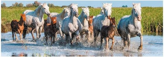 Dino Toys Dino Panorama Puzzel Camargo Paarden 150 Stukjes 2 Dino Toys Dino Panorama Puzzel Camargo Paarden 150 Stukjes - Afbeelding 2