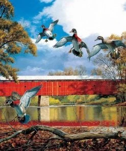 David A. Maass - Eldin Bridge Puzzel 550 Stukken Sunsout