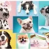 Cute Dogs - Puzzel 1500 Stukjes Trefl