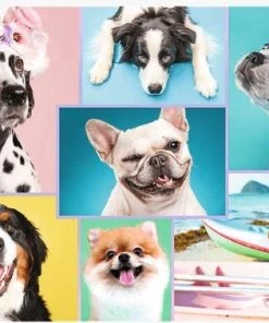 Cute Dogs - Puzzel 1500 Stukjes Trefl