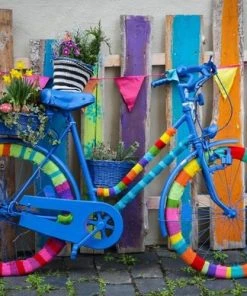 Bluebird My Beautiful Colorful Bike