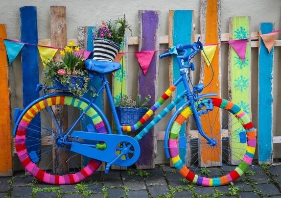 Bluebird My Beautiful Colorful Bike 1 Bluebird My Beautiful Colorful Bike