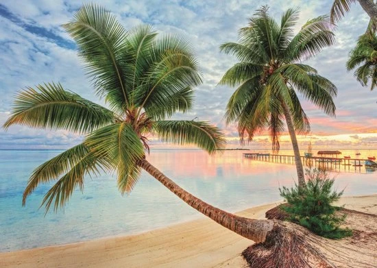 Jumbo Premium Collection Puzzel Frans Polynesië - Legpuzzel - 1000 Stukjes 2 Jumbo Premium Collection Puzzel Frans Polynesië - Legpuzzel - 1000 Stukjes - Afbeelding 2