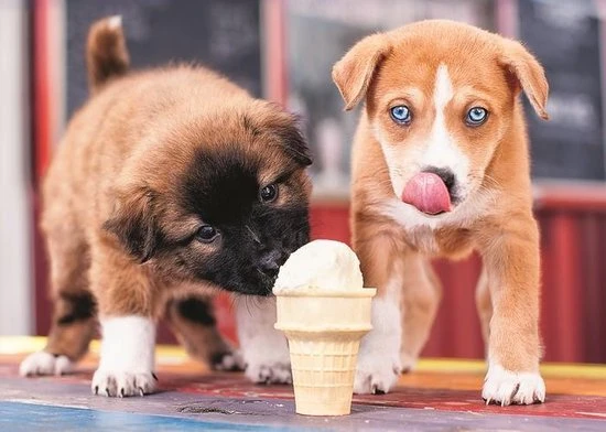 Trefl 37272 Puzzel Legpuzzel 500 Stuk(s) 2 Trefl 37272 Puzzel Legpuzzel 500 Stuk(s) - Afbeelding 2