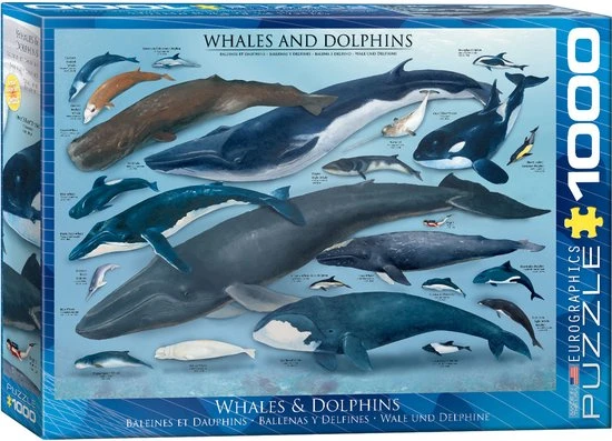 Eurographics Whales & Dolphins, 1000pcs Legpuzzel 1000 Stuk(s) Fauna 1 Eurographics Whales & Dolphins, 1000pcs Legpuzzel 1000 Stuk(s) Fauna