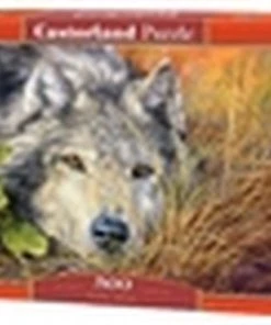 Castorland Pure Soul 500 Stukjes -Goedkope puzzels winkel 550x401