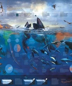 The New York Puzzle Company New York Puzzle Company Pacific Coast - 1000 Pieces 6 The New York Puzzle Company New York Puzzle Company Pacific Coast - 1000 Pieces -Goedkope puzzels winkel 550x413 6