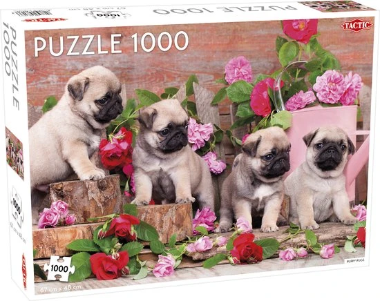Tactic Puzzel Puppy Pugs 1000 Stukjes 1 Tactic Puzzel Puppy Pugs 1000 Stukjes