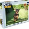 PuzzleWow Puzzel Een Sprintende Teckel - Legpuzzel - Puzzel 500 Stukjes - Sinterklaas Cadeautjes - Sinterklaas Voor Grote Kinderen