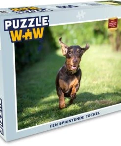 PuzzleWow Puzzel Een Sprintende Teckel - Legpuzzel - Puzzel 500 Stukjes - Sinterklaas Cadeautjes - Sinterklaas Voor Grote Kinderen