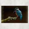 Ontwerp-Zelf Puzzel - IJsvogel - 1000 Stuks