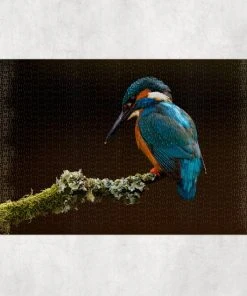Ontwerp-Zelf Puzzel - IJsvogel - 1000 Stuks