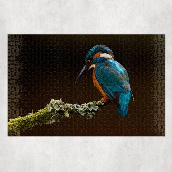 Ontwerp-Zelf Puzzel - IJsvogel - 1000 Stuks 1 Ontwerp-Zelf Puzzel - IJsvogel - 1000 Stuks