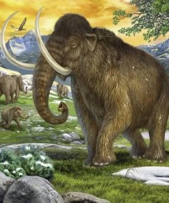 Ravensburger Heersers Van De Oertijd - Drie Puzzels Van 49 Stukjes -Goedkope puzzels winkel 550x550 71