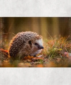 Ontwerp-Zelf Puzzel - Egel Herfst - 1500 Stukjes