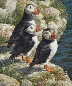 Cobble Hill Puzzle 500 Pieces - Fisherman's Wharf